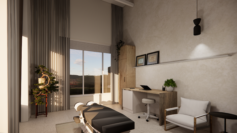 Clinique Santé Dorsale - Chiropraticien Lebourgneuf cover image