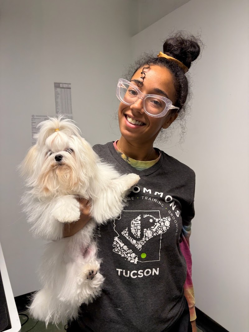 Paw Commons Pet Resort & Training Center - Tucson cover image