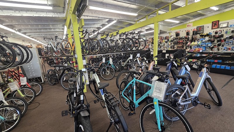 Safety Cycle cover image