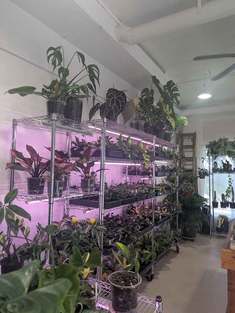 Great Plains Botanical House cover image