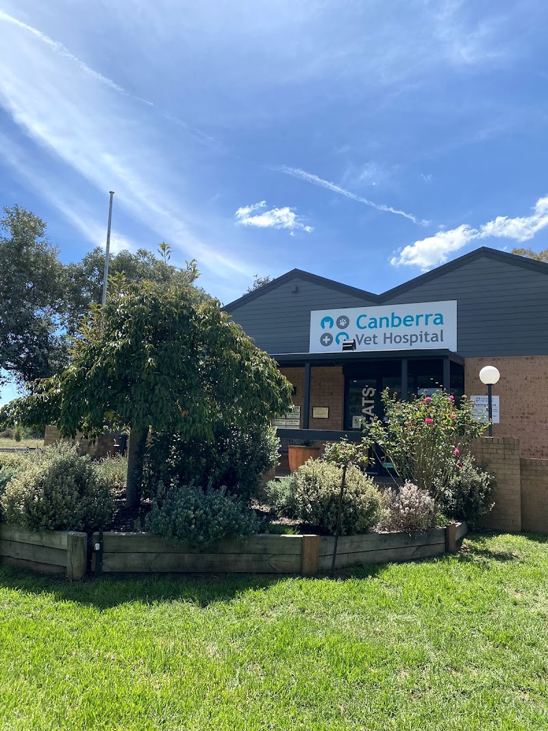 Canberra Veterinary Hospital cover image
