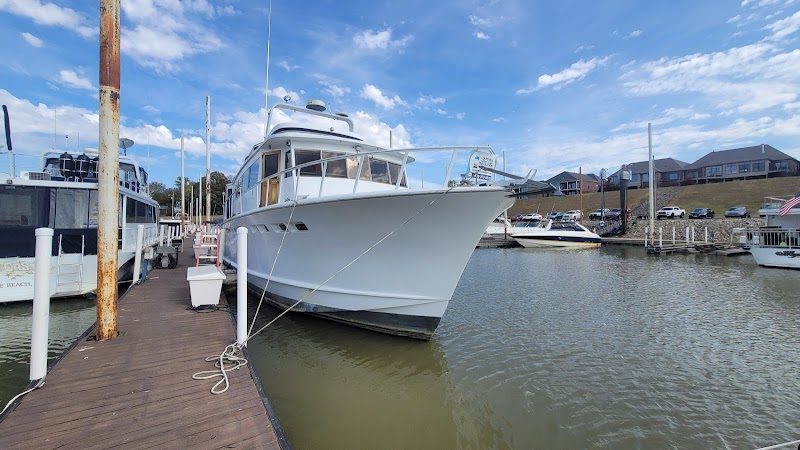 Rose Island Yacht Club cover image