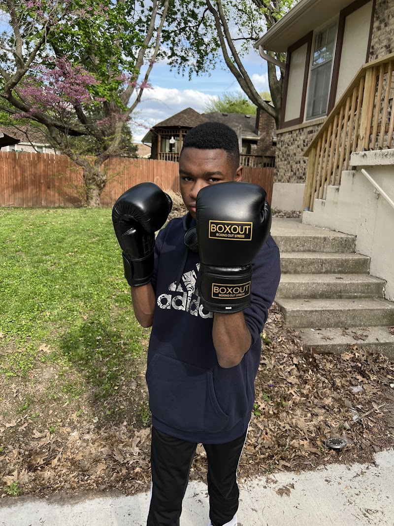 BOXOUT STRESS LLC cover image