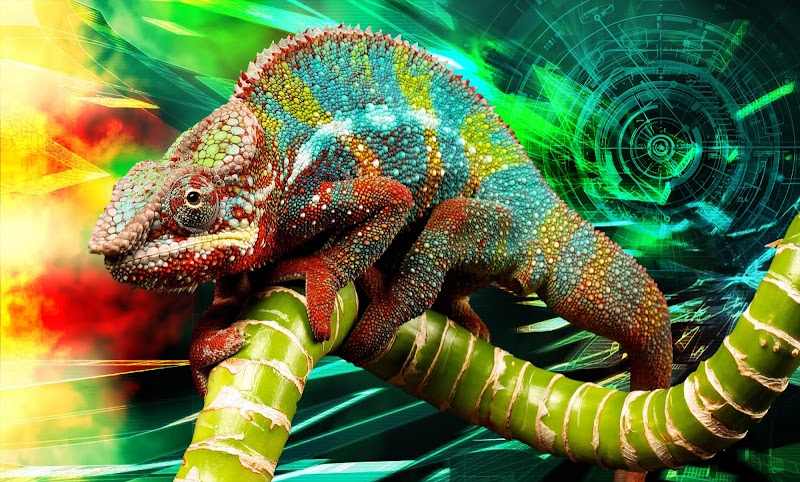 Chameleon Graphix cover image