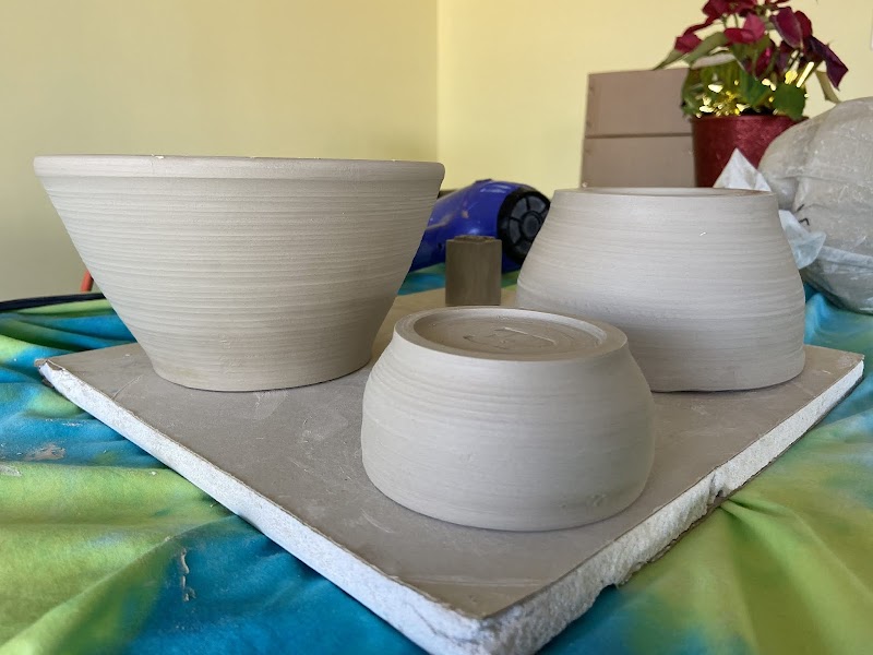 Sunshine Sunflower Studio cover image