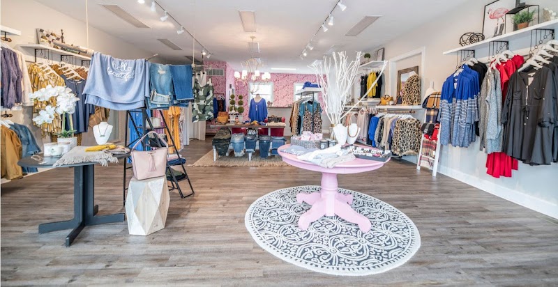 The Fluffy Flamingo cover image