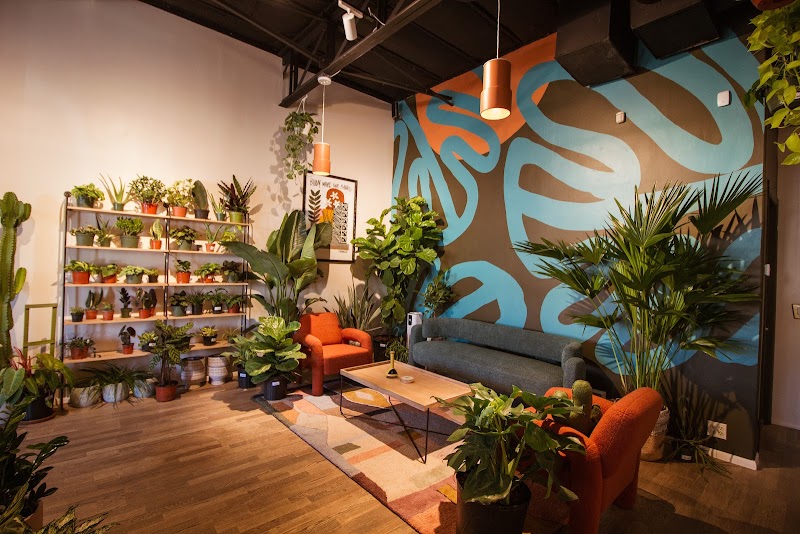 Viva La Plant Shop cover image