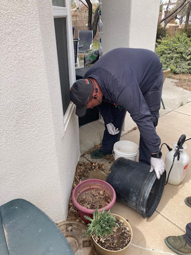 Hadlow Pest Solutions Albuquerque cover image