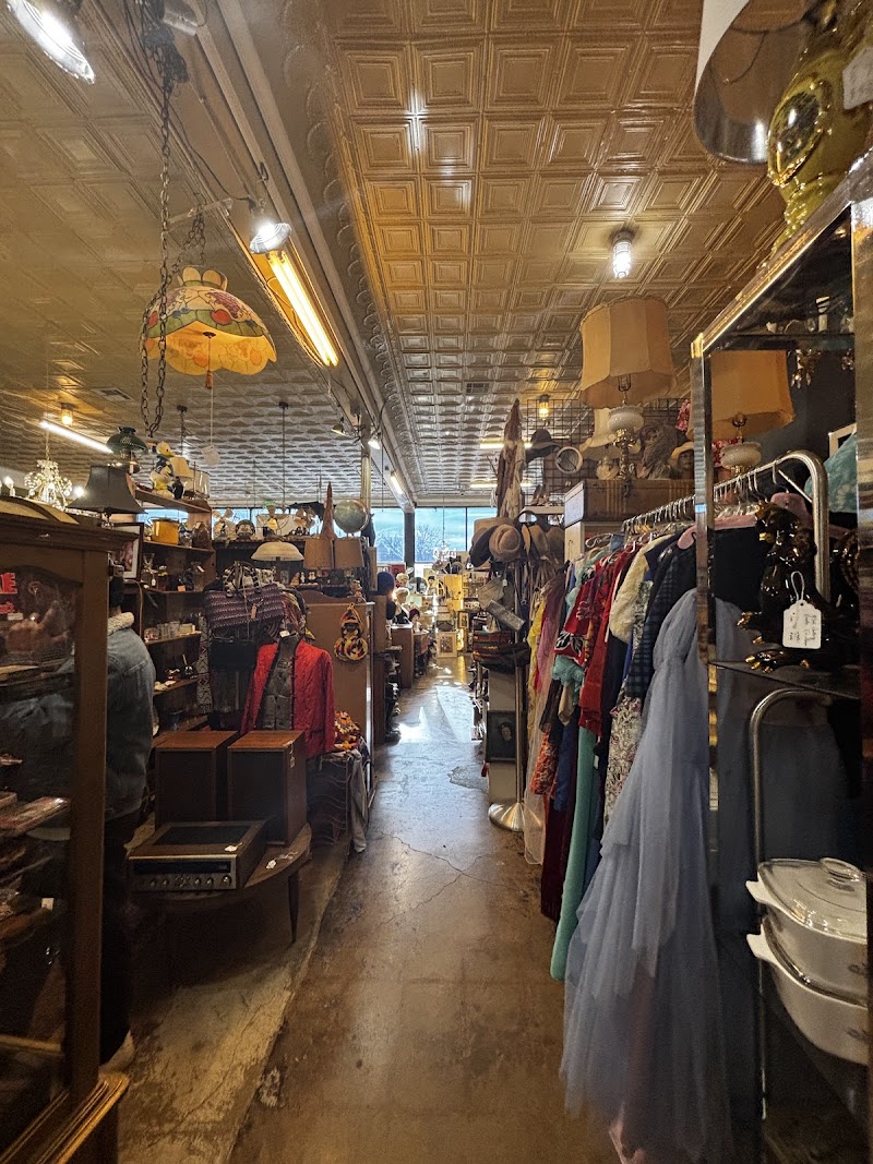 Dolly Python cover image