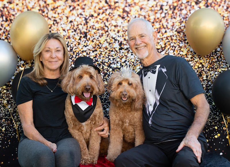 Too The Dogs Photography cover image