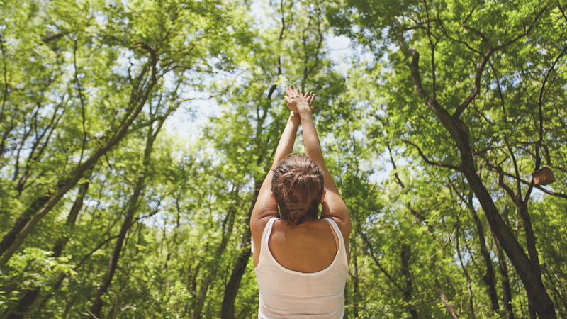 Perlman Wellness cover image