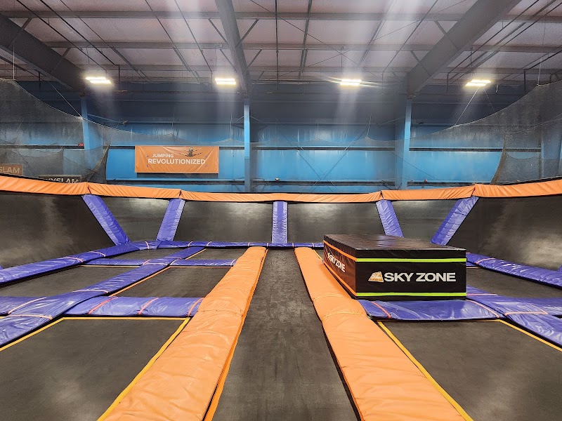 Sky Zone Trampoline Park cover image