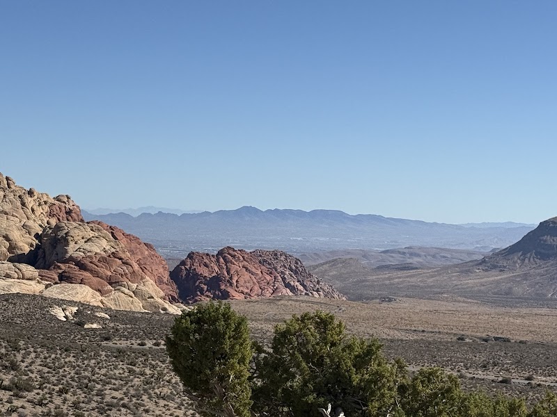 GoCar Tours Las Vegas cover image