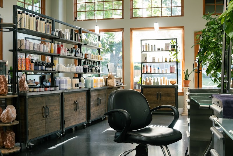 Philosophi Salon cover image