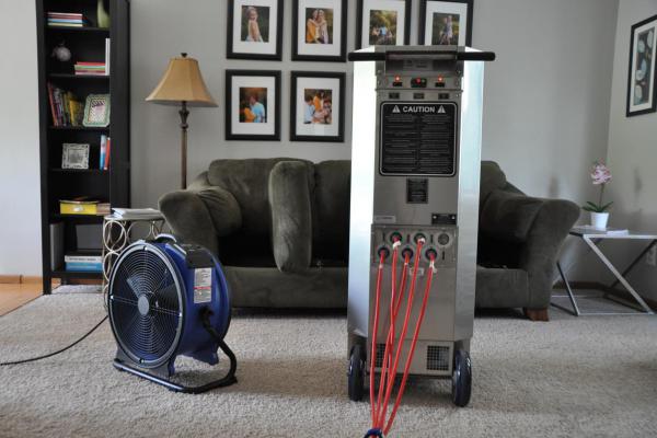 Smithereen Pest Management Services cover image