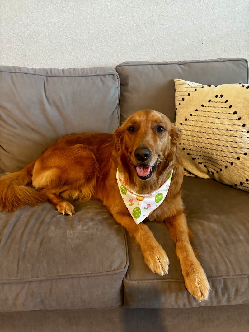 Texas Mobile Pet Spa cover image