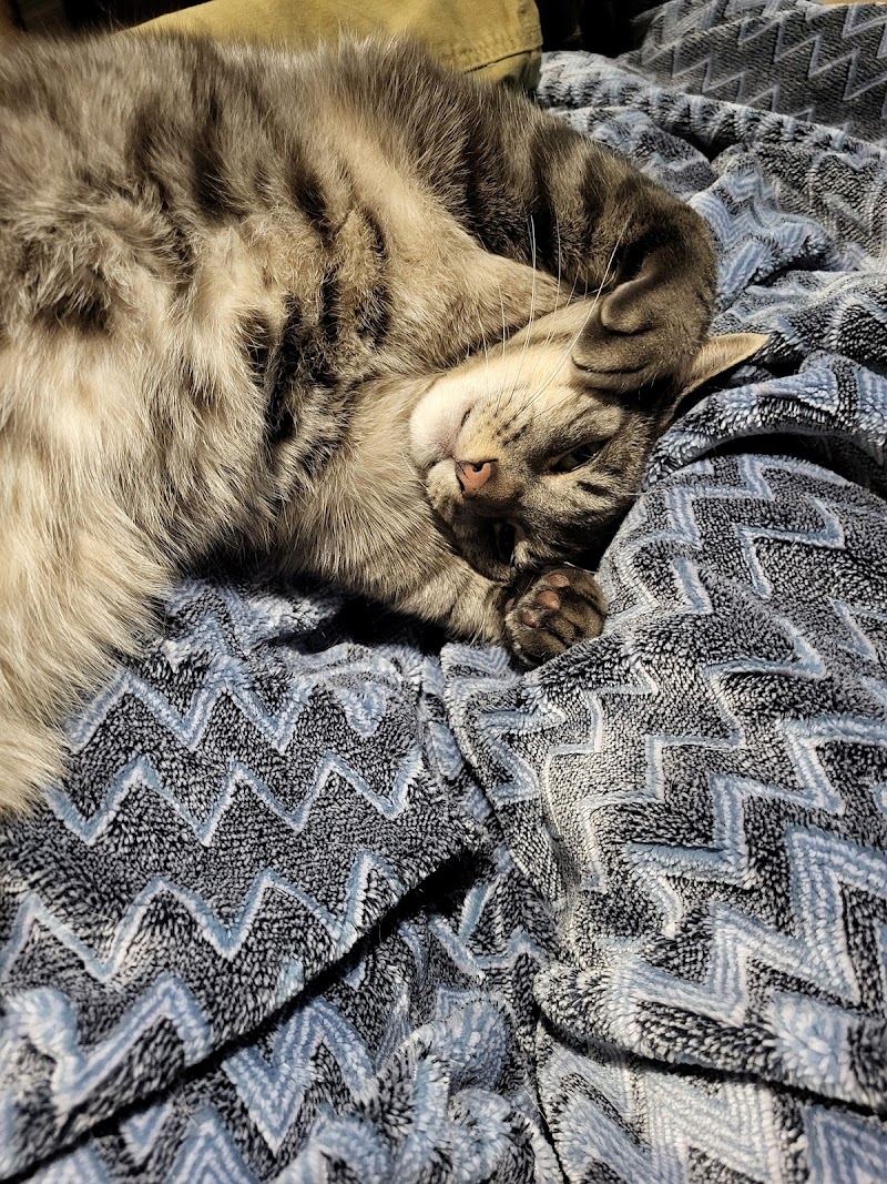 Clinique vétérinaire des Cheminots cover image