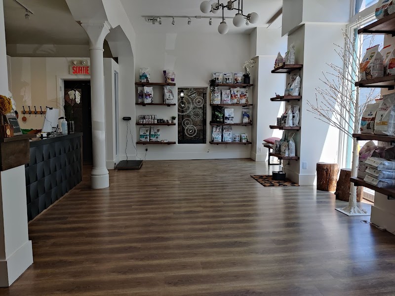 Clinique Vétérinaire du Vieux-Montréal cover image