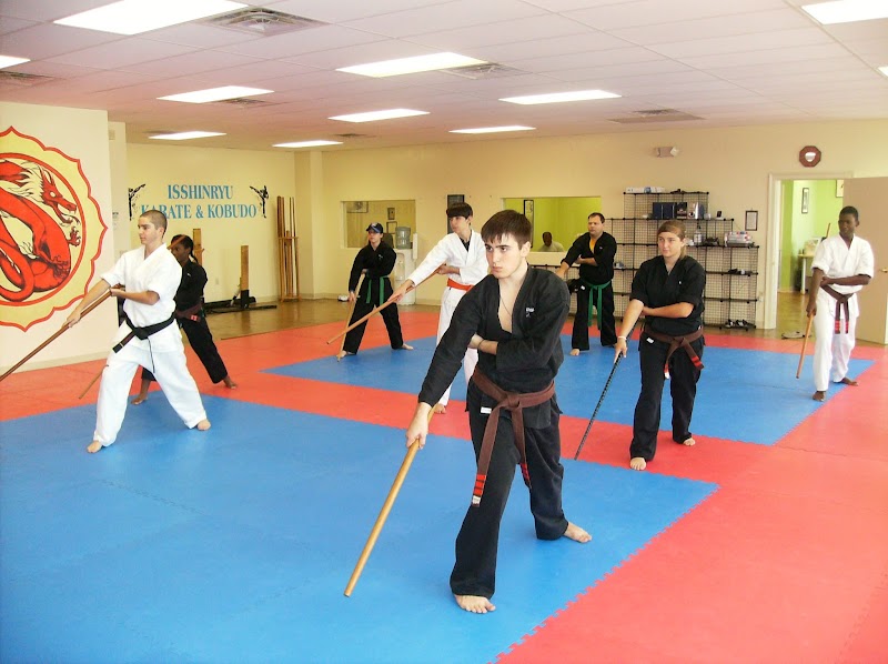 New Orleans Karate Institute, Inc. cover image