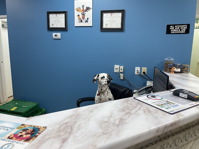 Animal Hospital Of Kitchener Waterloo cover image