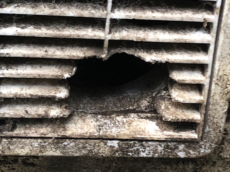 Birmingham Pest Control Ltd cover image