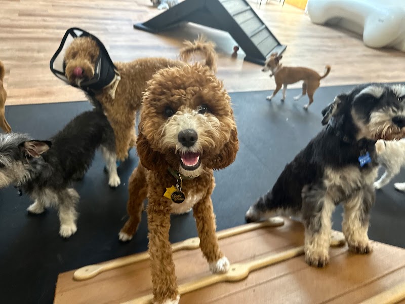 Martha's Garden cover image