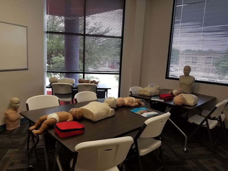 Life Enrichment and Safety Institute cover image