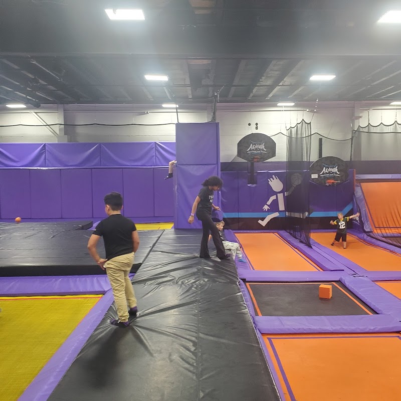Altitude Trampoline Park - Skokie cover image