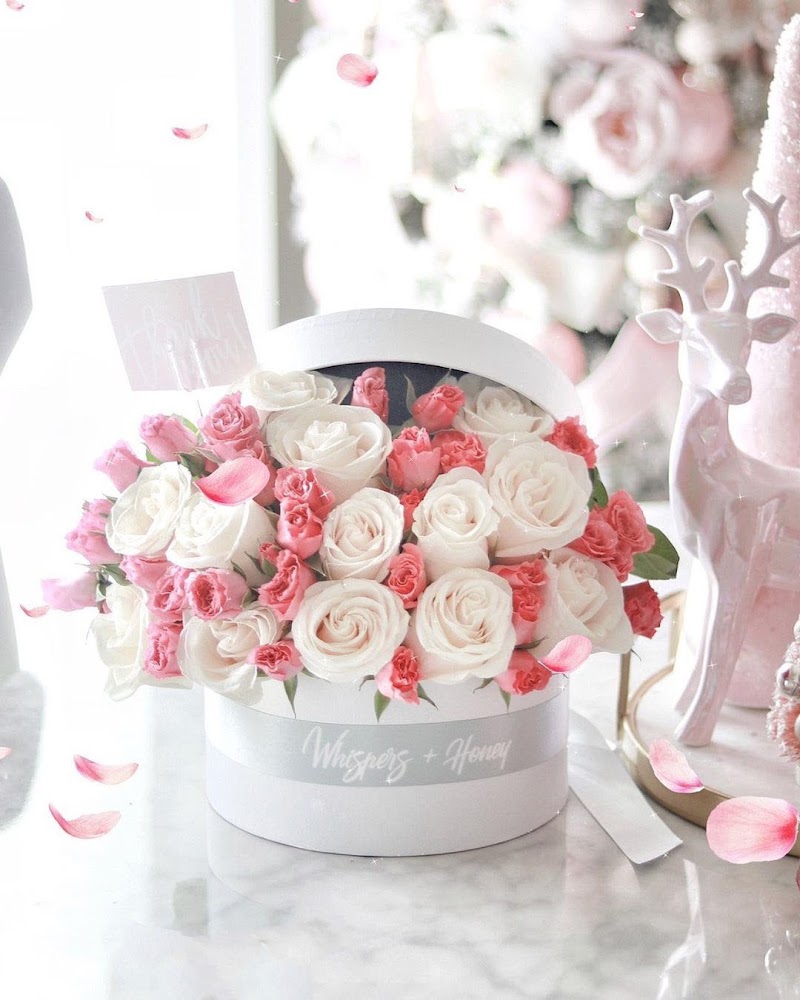 Whispers + Honey: Same Day Flower Delivery Las Vegas cover image