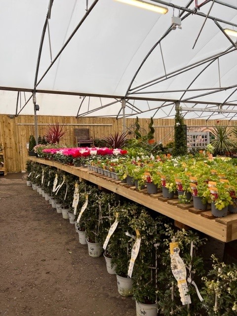 Hillmount Garden Centre cover image