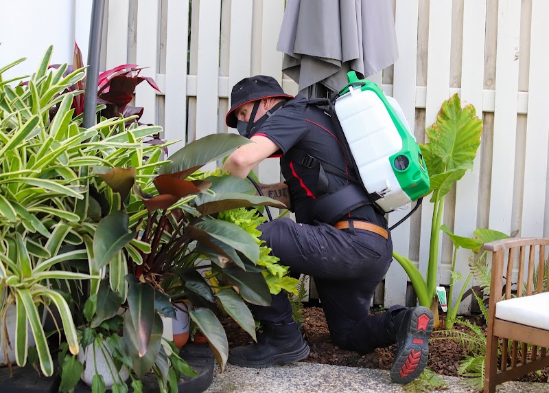 Control Pest Management Brisbane cover image