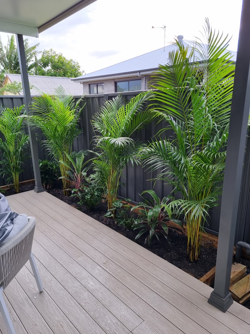 The Nursery on Glebe cover image