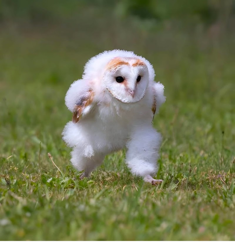 Pretty Films Wedding Videographer cover image