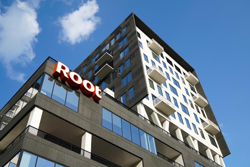 Studio Freight cover image