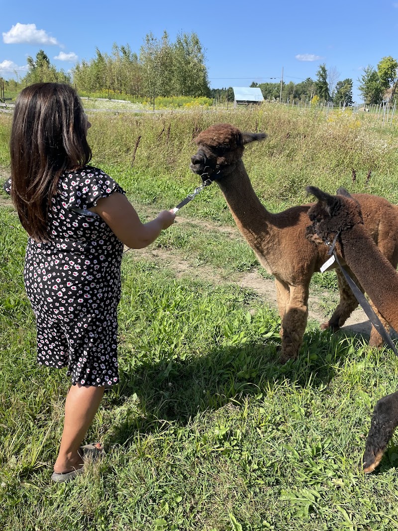 Vignoble La Grenouille cover image