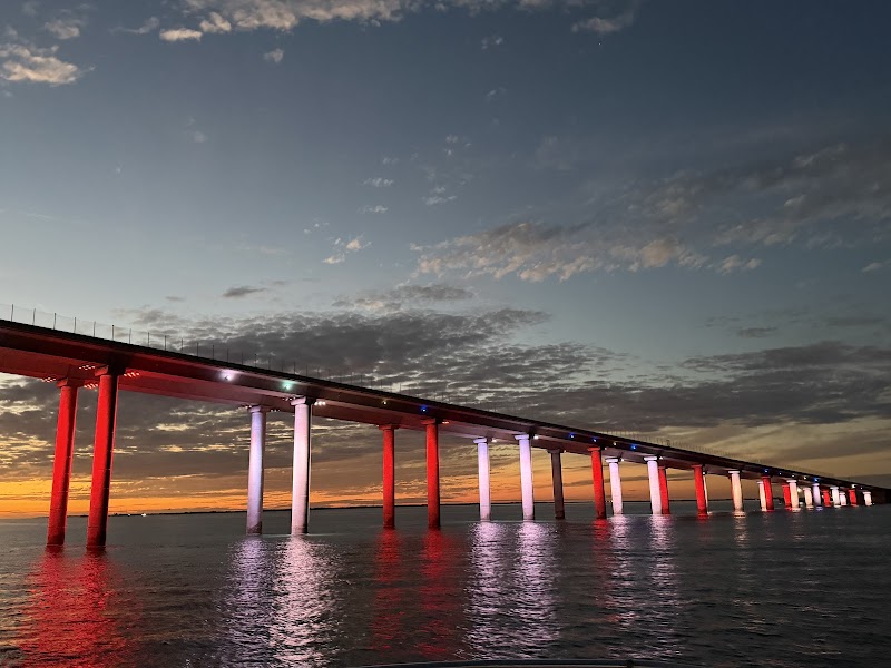 The Pelican St. Pete cover image