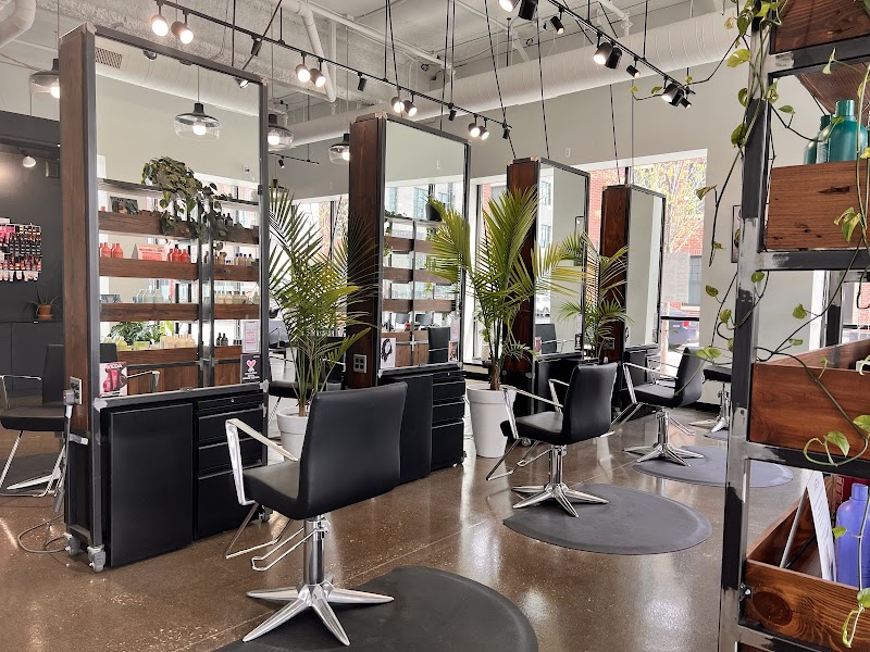 Hudson Styling Co. cover image