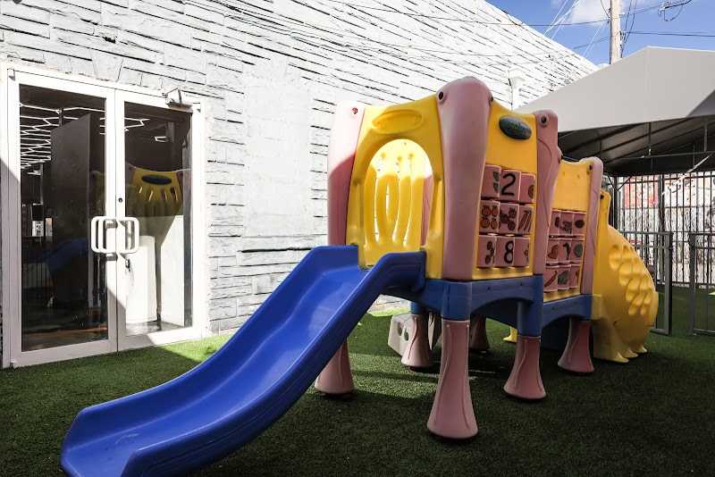 Fundoggy cover image