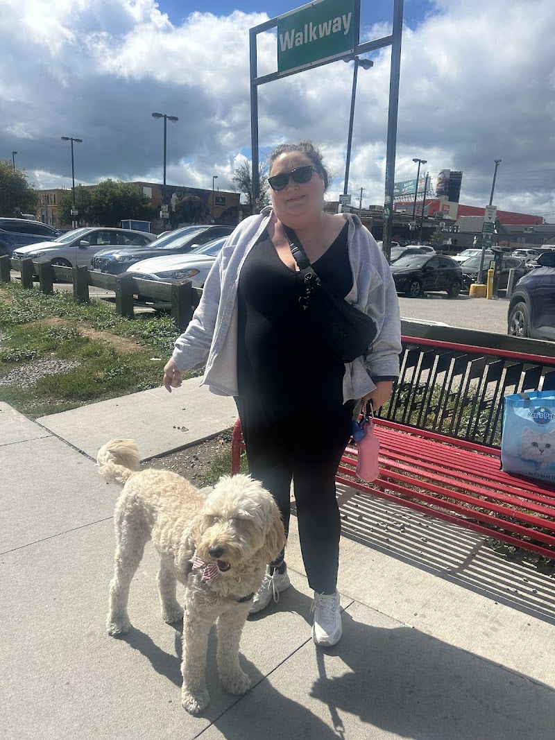 Walk with Claire cover image