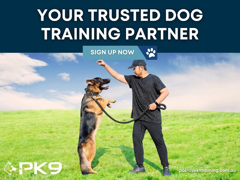 Positive K9 Training cover image