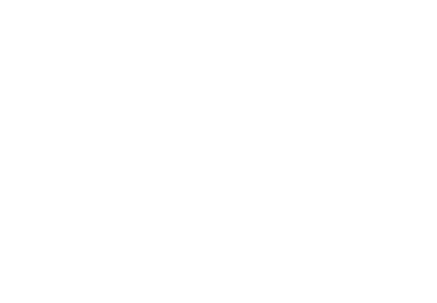 Black Swan Media cover image