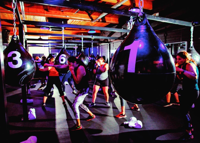 ONYX BOXING cover image