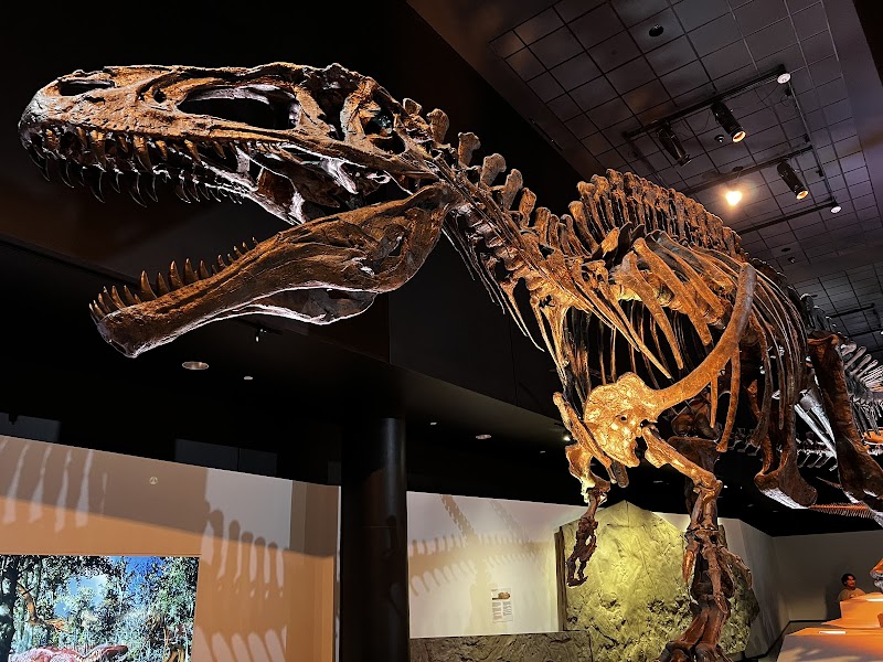 Houston Museum of Natural Science cover image