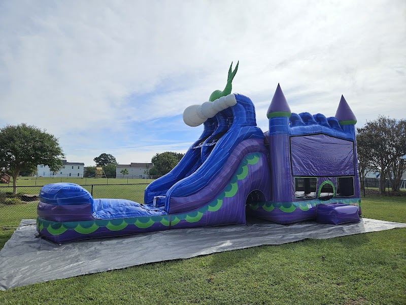 Bounce and Land cover image