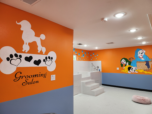 Blue Bubbles Spa cover image