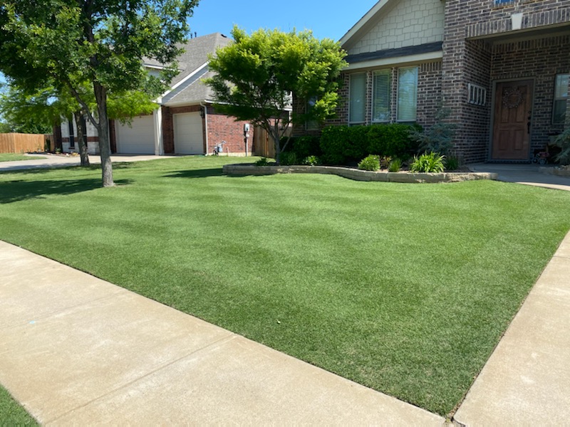 Higher Ground Lawn Care & Landscape Lighting cover image