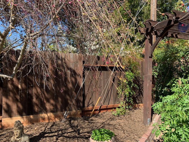 Legacy Property Management cover image