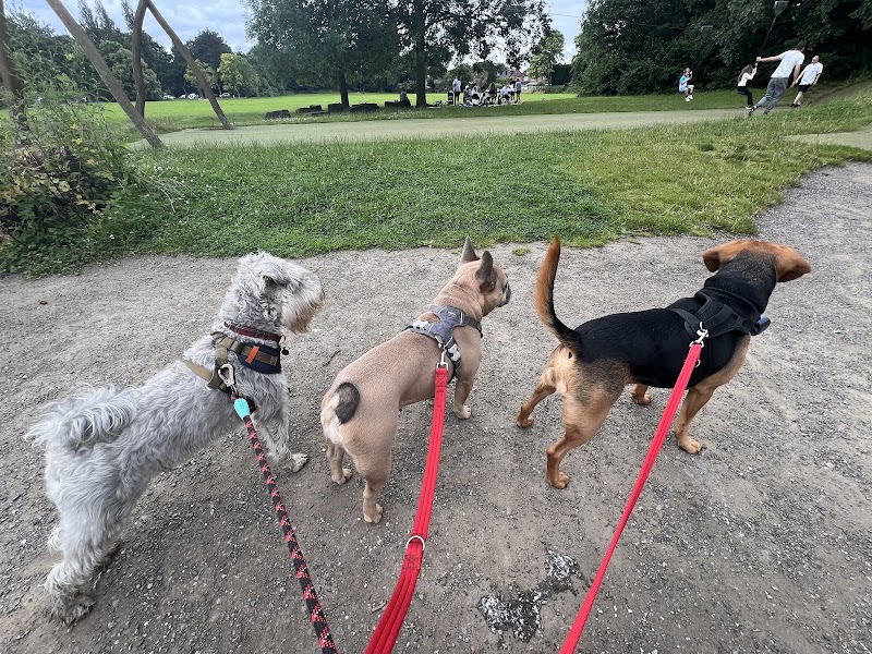 Happi Walks, Dog Boarding, Day Care & Cat Sitting cover image