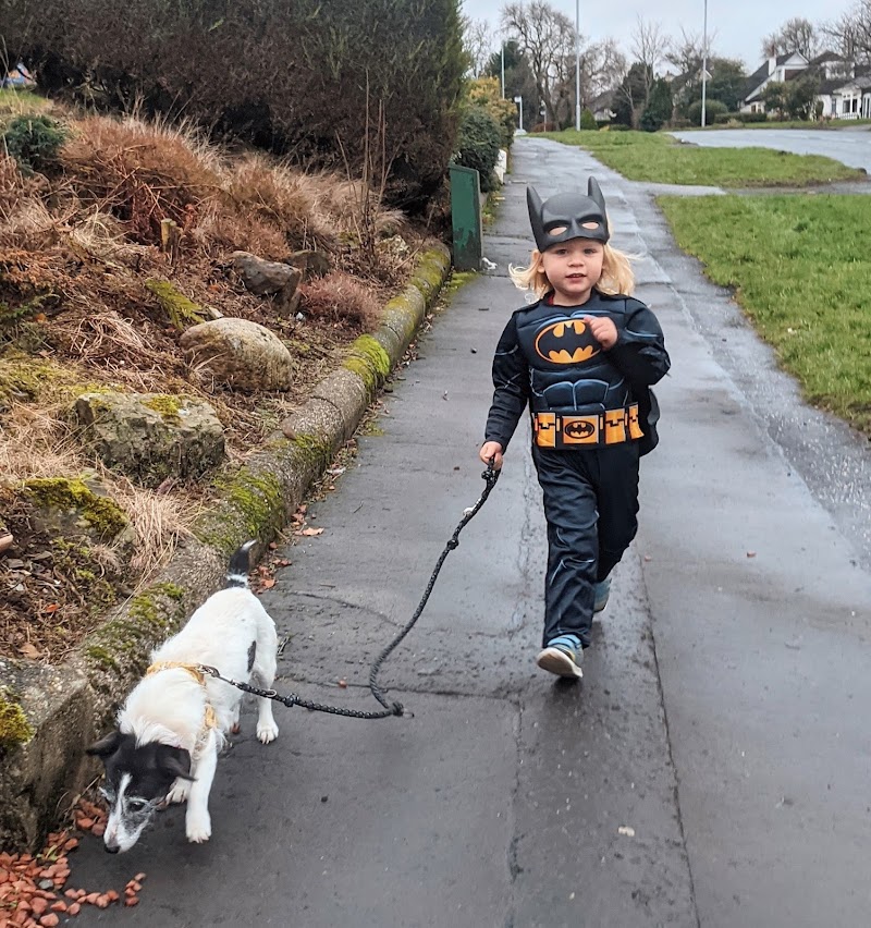 Dog Coach Glasgow cover image