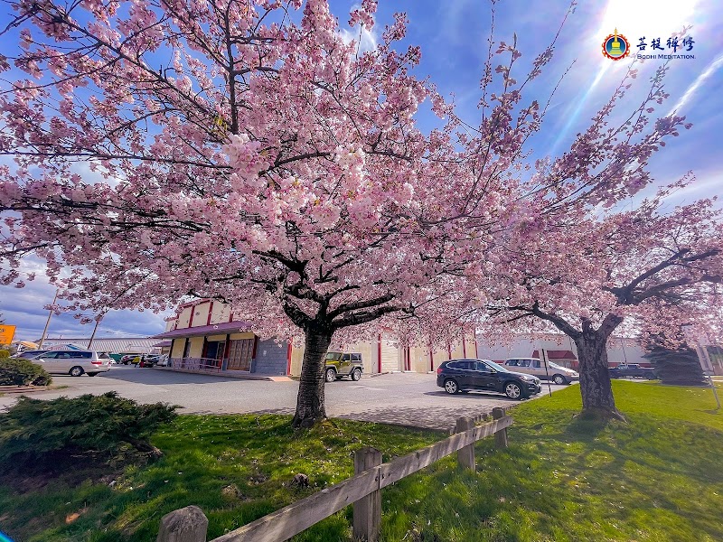 Bodhi Meditation Vancouver Canada 菩提禅修加拿大温哥华 cover image